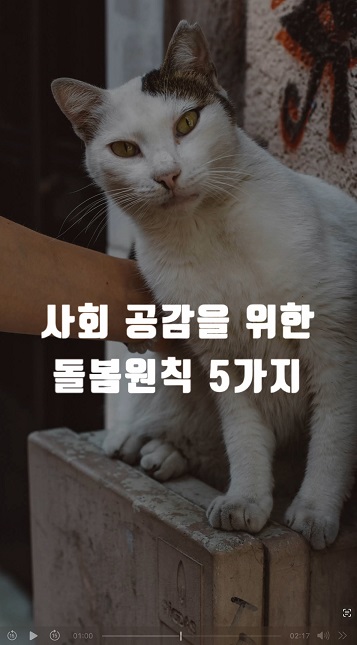 길고양이 돌보미